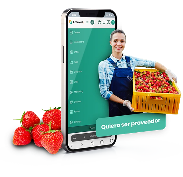 Banner home operaria con fresas